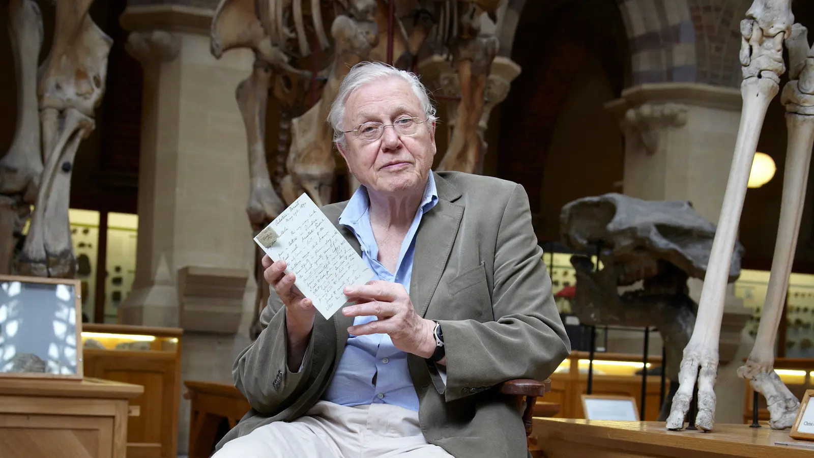 David Attenborough's Natural Curiosities backdrop