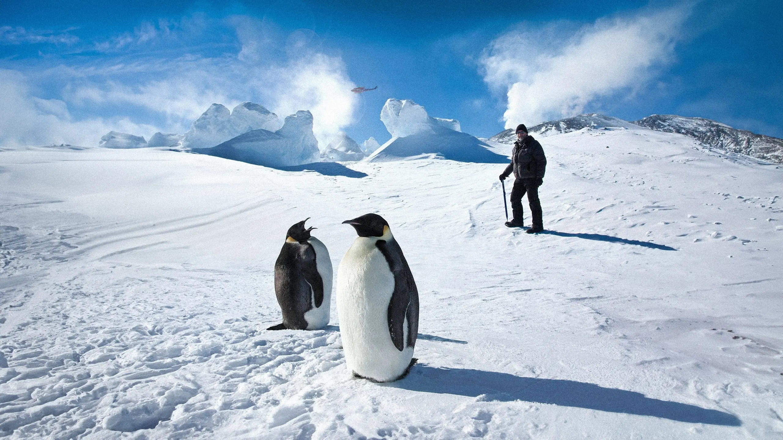 Antarctica: A Year on Ice backdrop