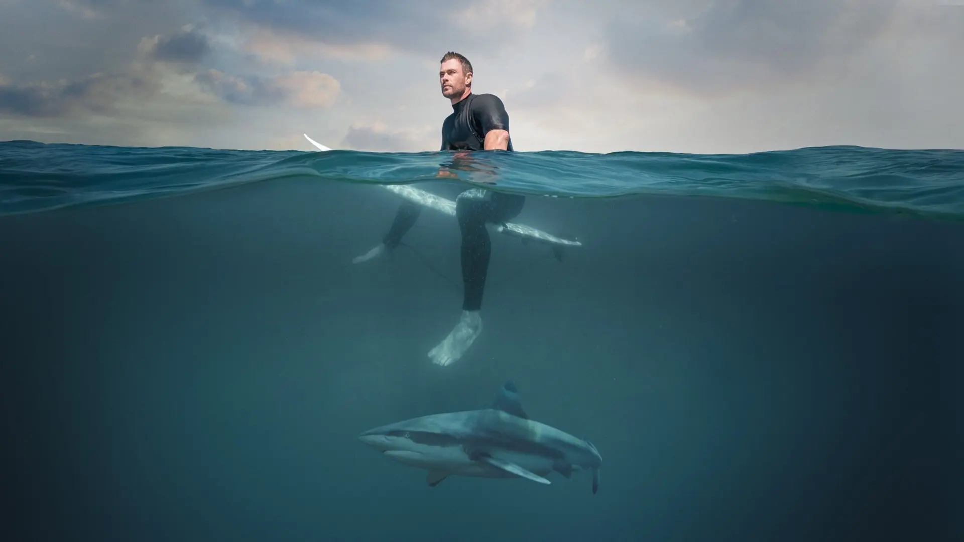 Shark Beach with Chris Hemsworth backdrop