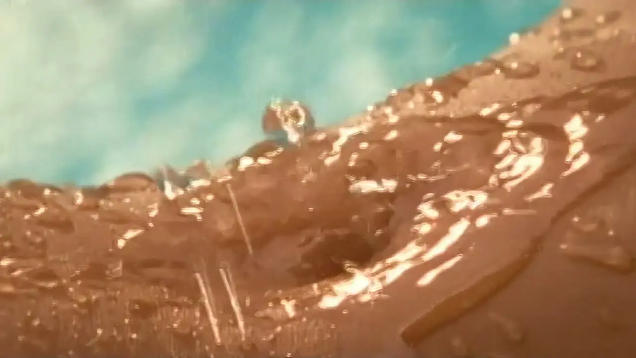 Playboy: Wet & Wild V backdrop