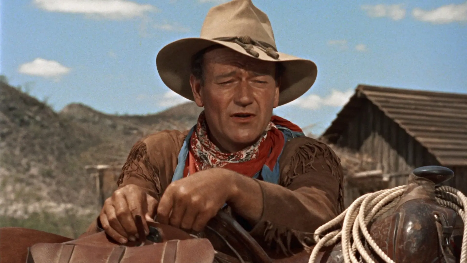 Hondo backdrop
