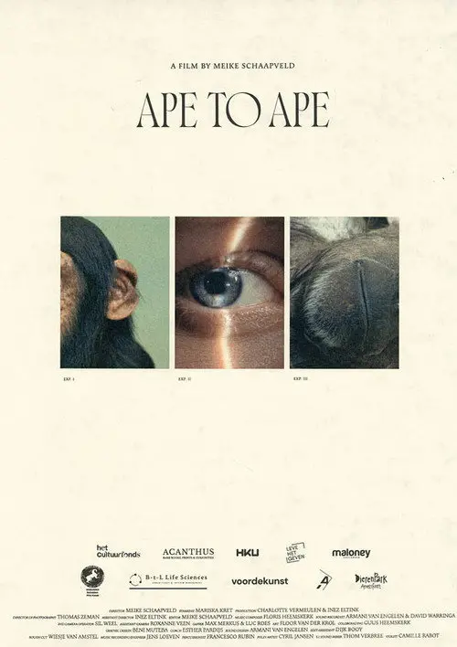 Aap tot Aap