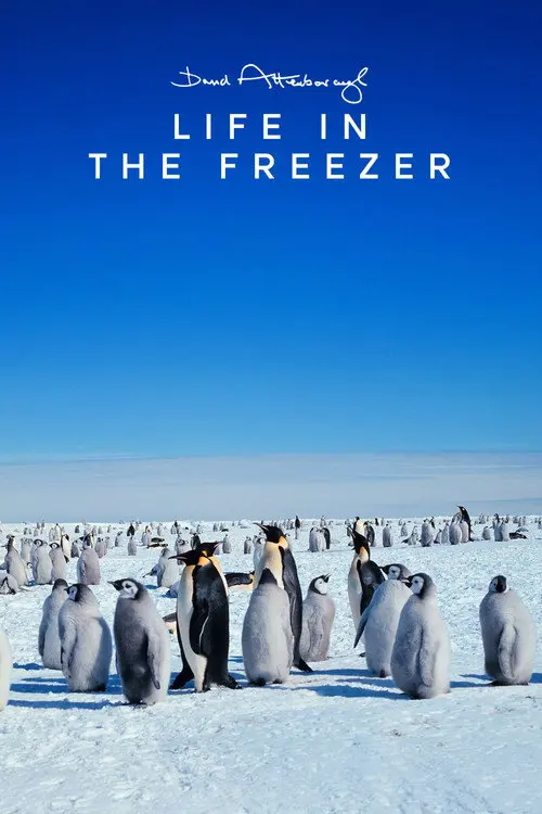 Life in the Freezer