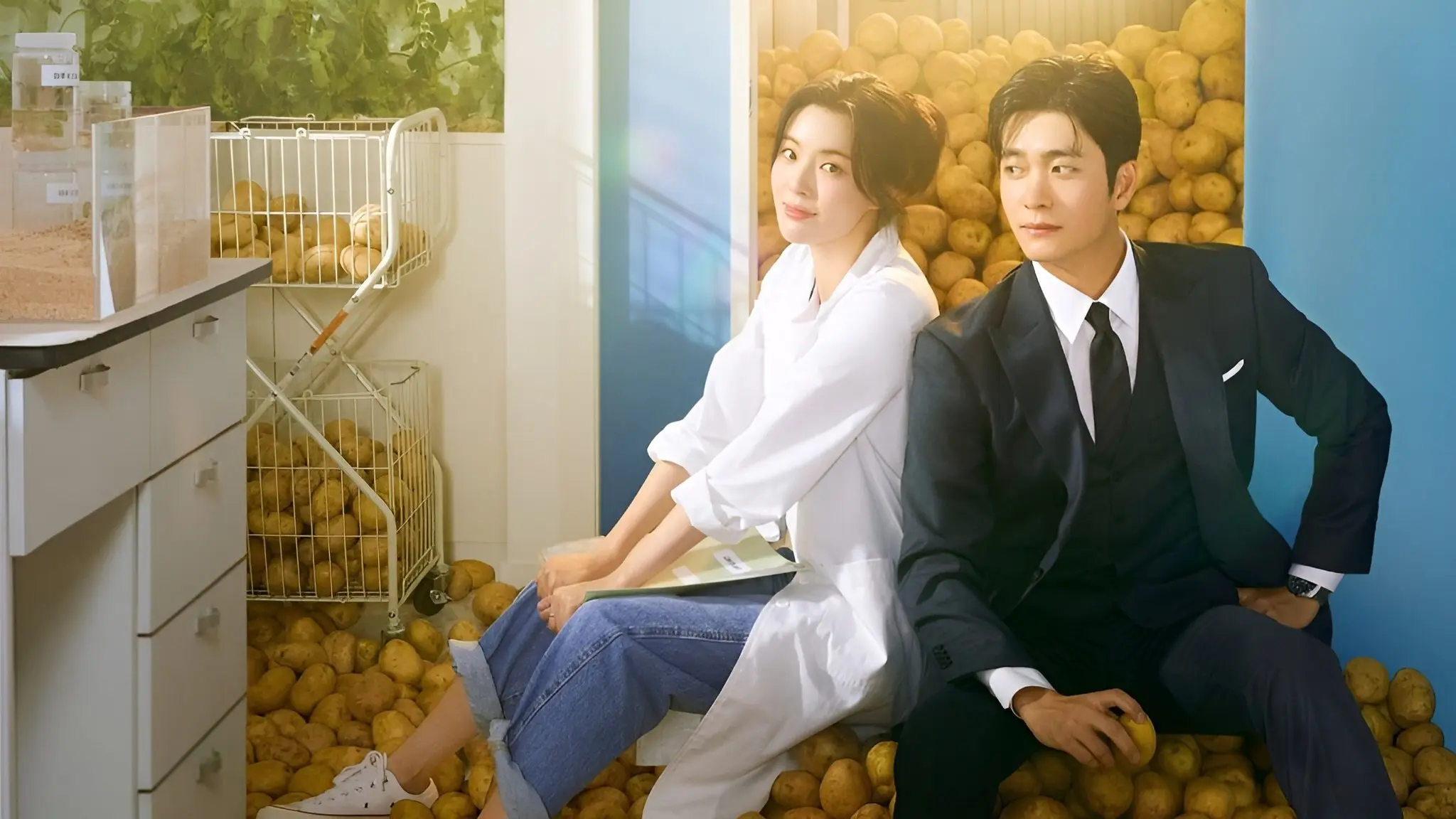 The Potato Lab backdrop