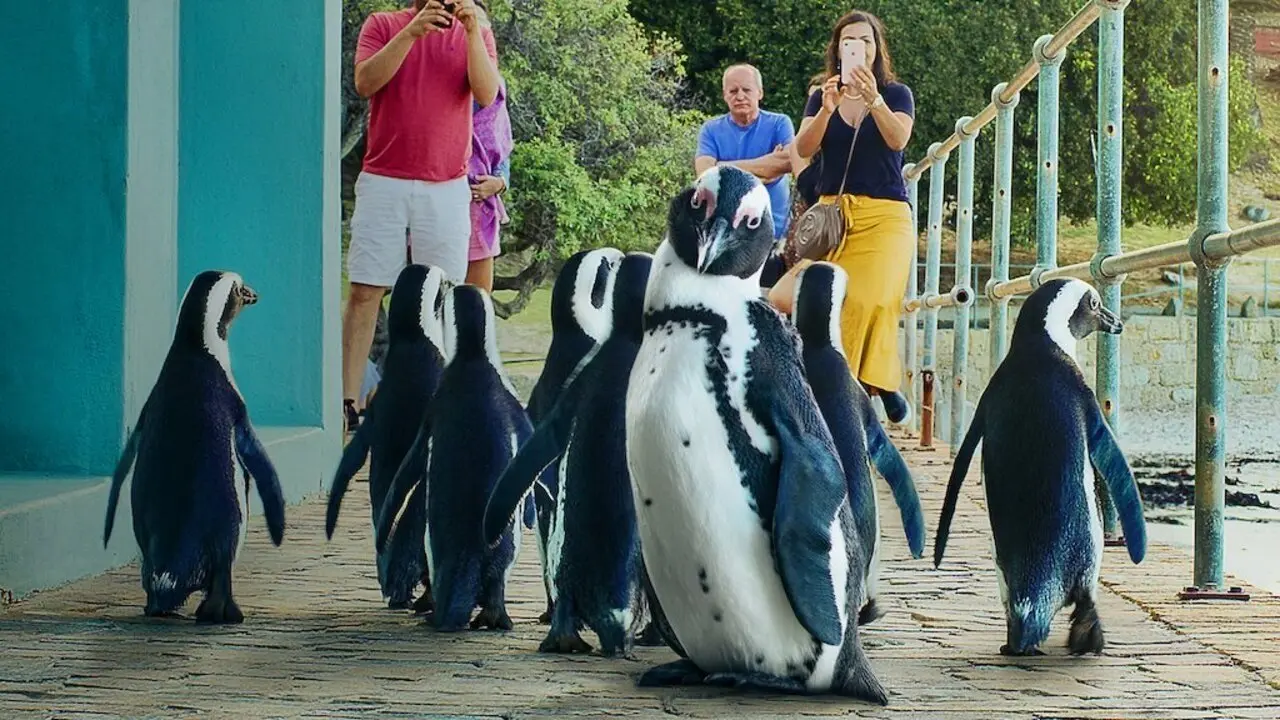 Penguin Town backdrop