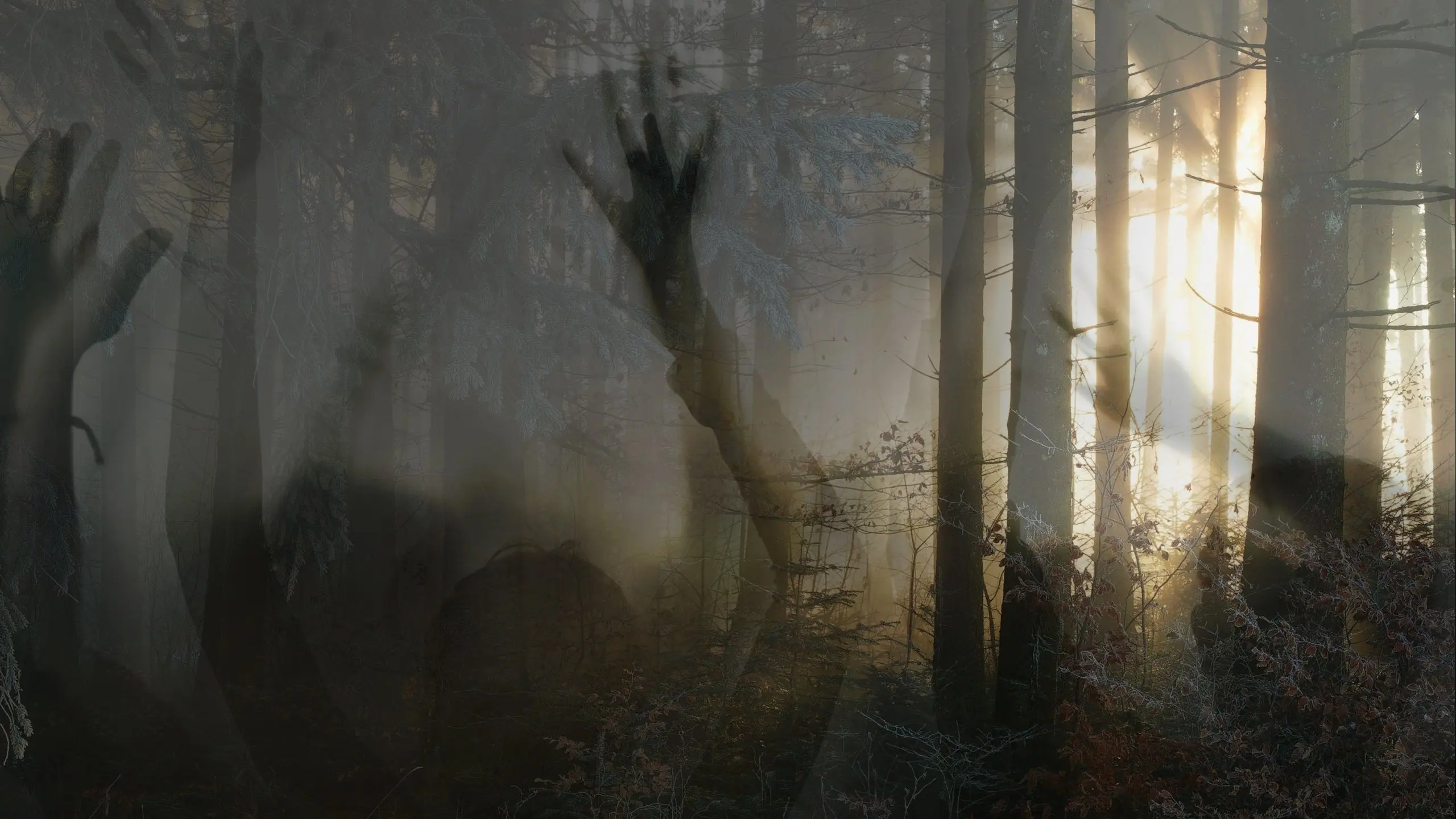Paranormal Survivor backdrop