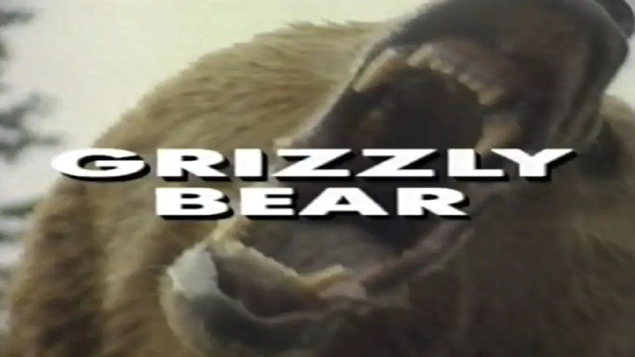 Predators of the Wild: Grizzly Bear backdrop