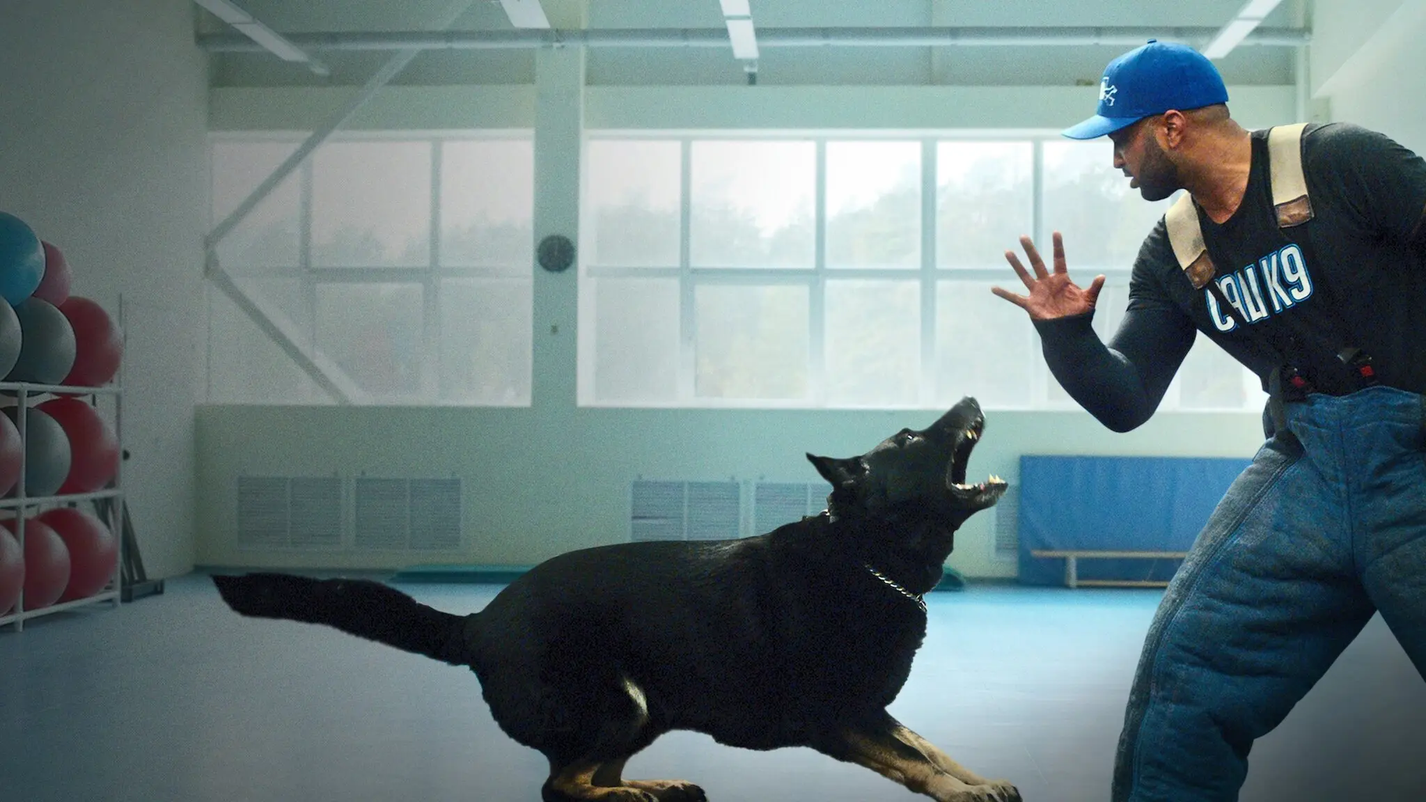 Canine Intervention backdrop