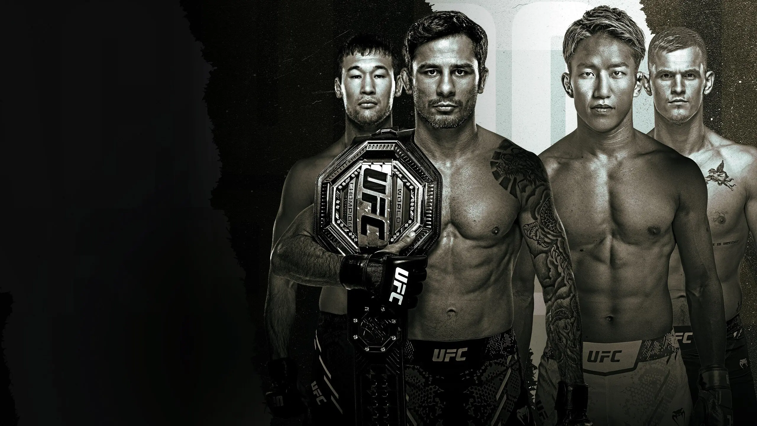 UFC 310: Pantoja vs. Asakura backdrop