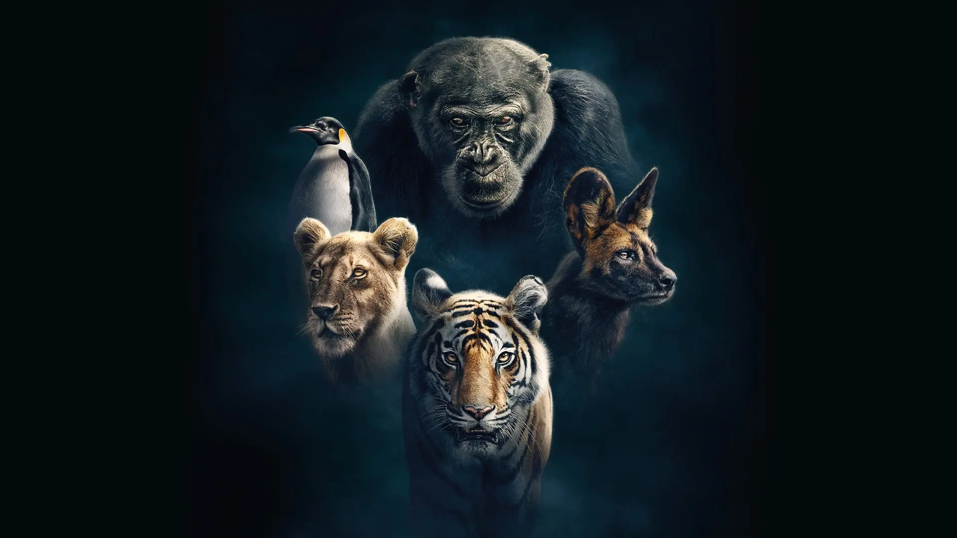 Dynasties backdrop
