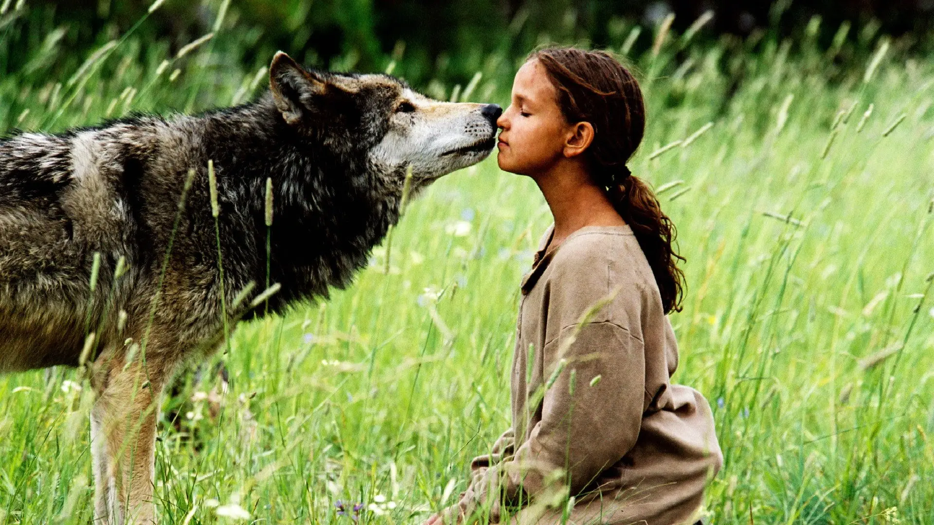 Wolf Summer backdrop