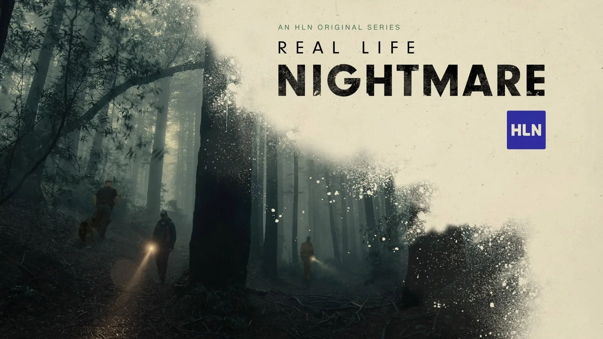 Real Life Nightmare backdrop