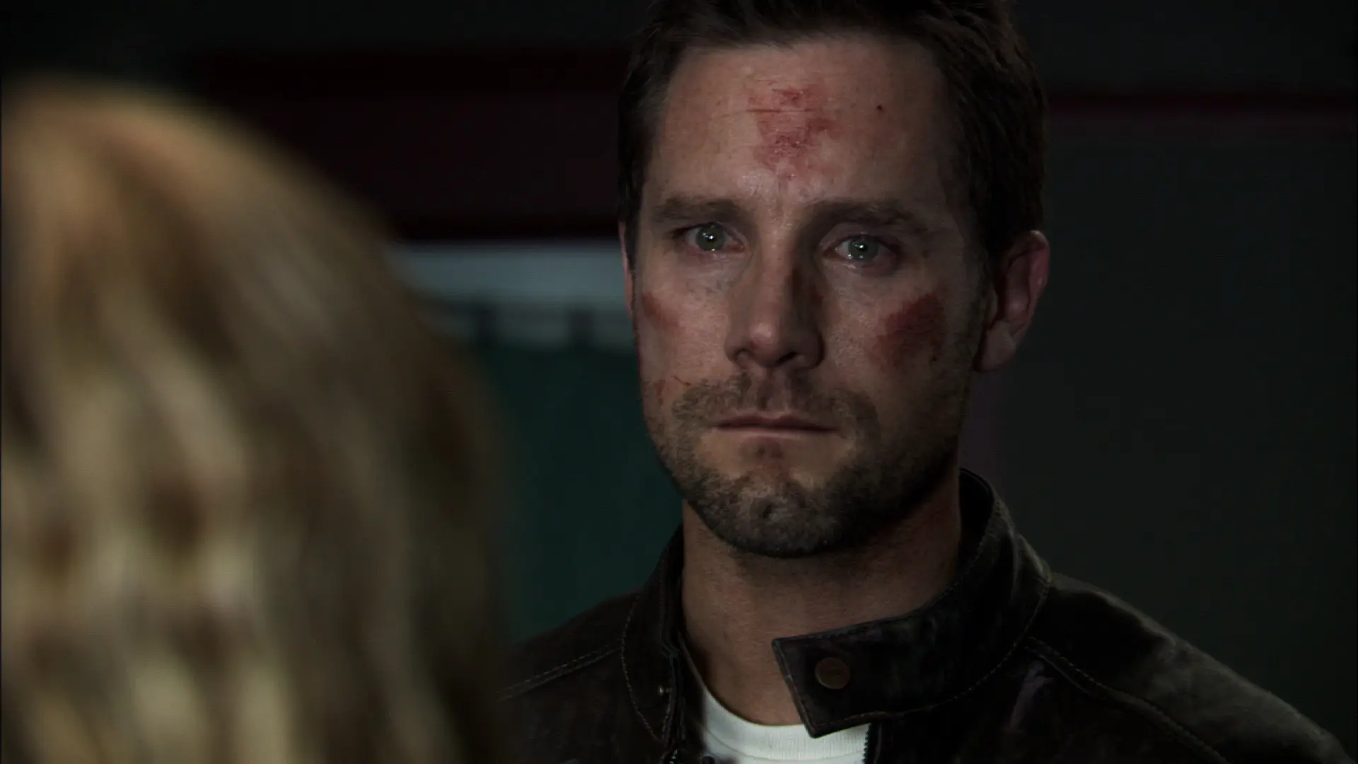 30 Days of Night: Dust to Dust backdrop