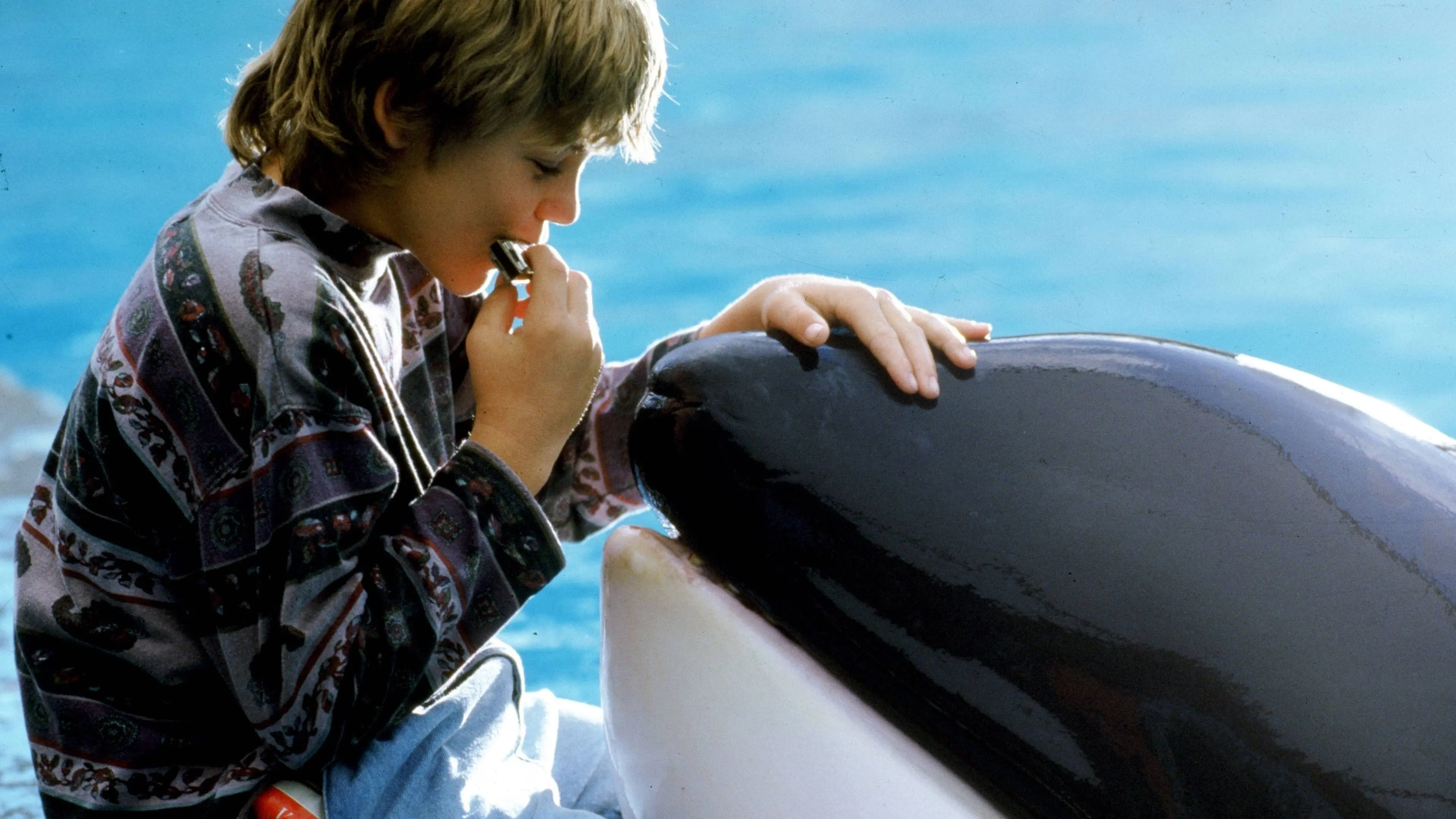 Free Willy backdrop