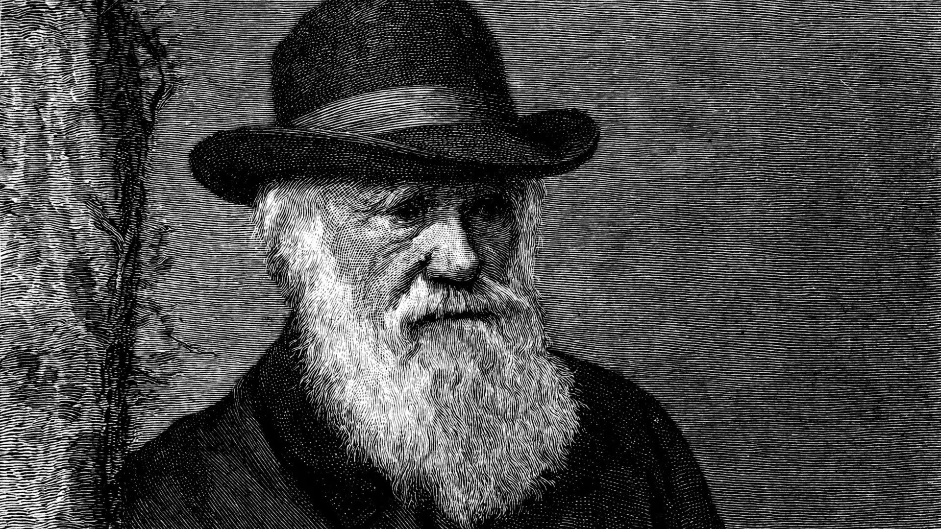 The Genius of Charles Darwin backdrop
