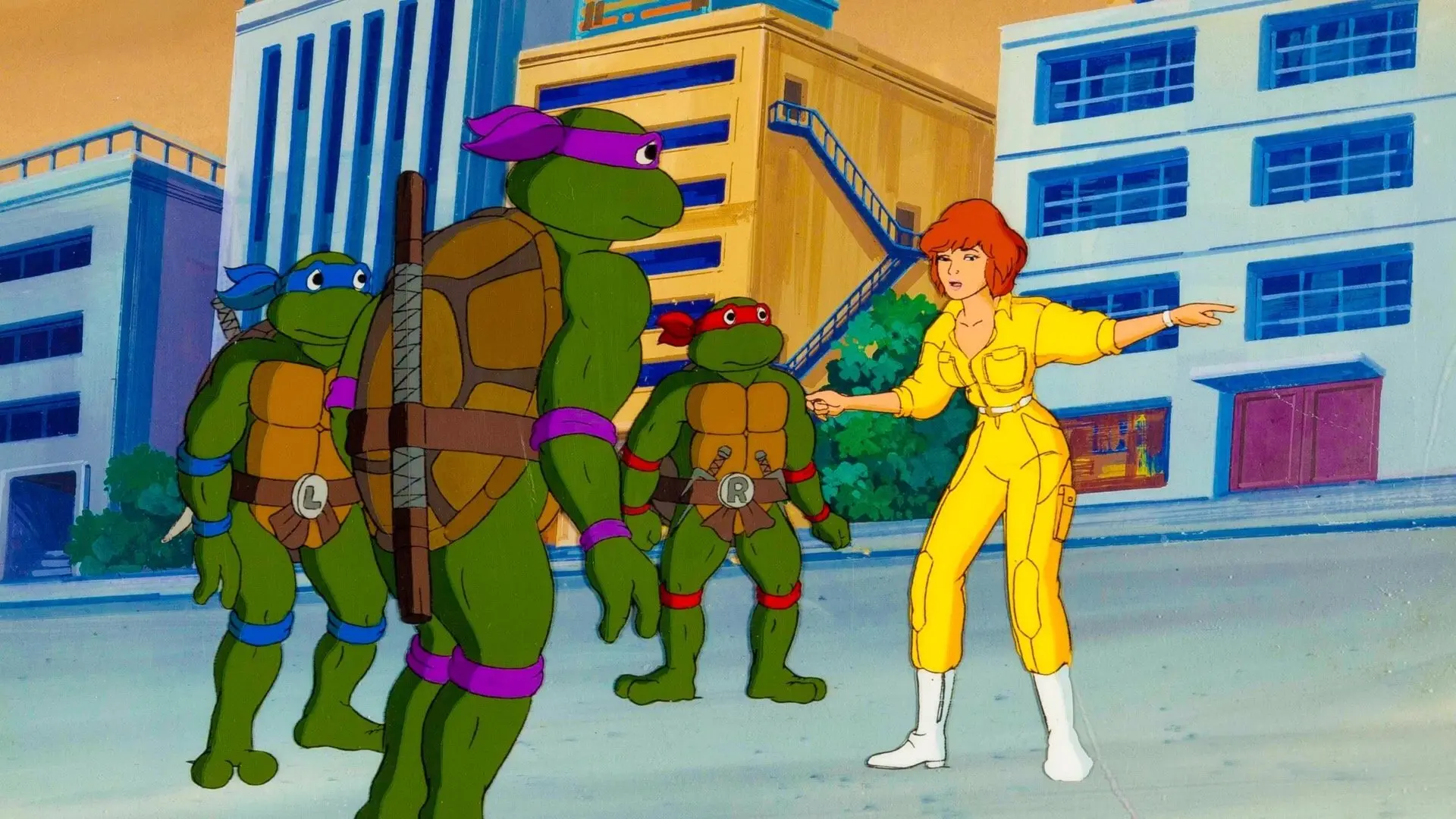Teenage Mutant Ninja Turtles backdrop