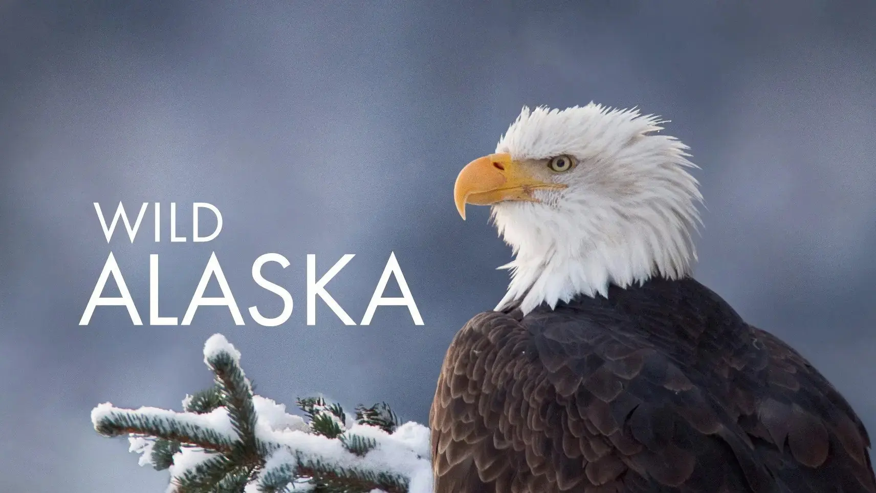 Alaska: Earth's Frozen Kingdom backdrop