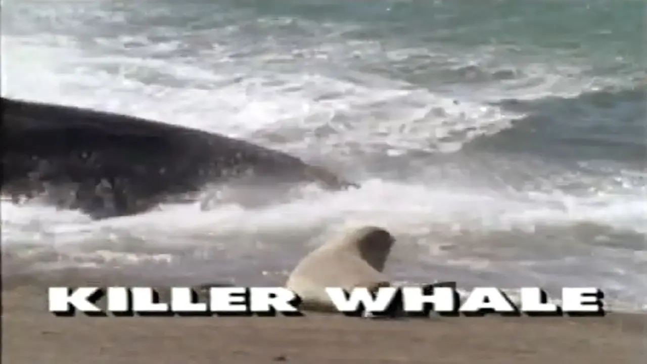 Predators of the Wild: Killer Whale backdrop