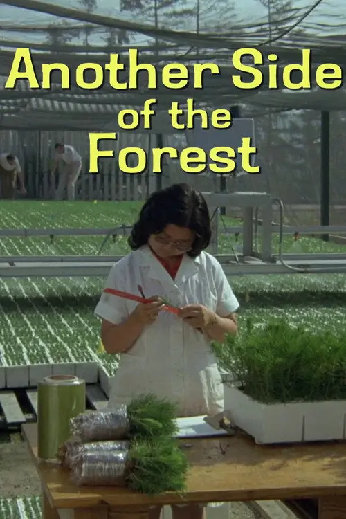 Another Side of the Forest