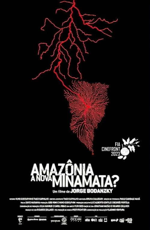 Amaz么nia, a Nova Minamata?