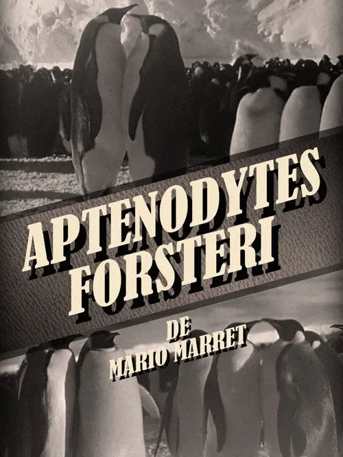 Aptenodytes Forsteri